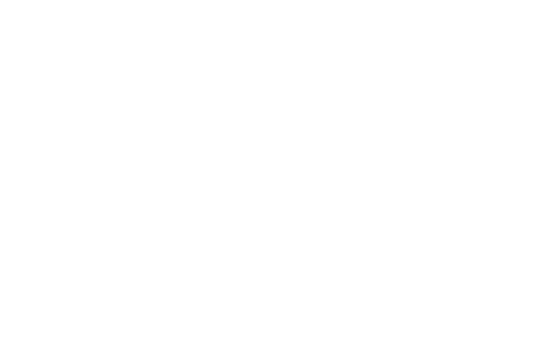 snooze score logo