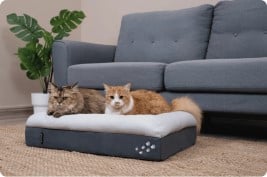 Origin CosyPaws™ Dog Bed & Cat Bed
