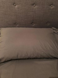 sealy spinal alignment pillow 7cm