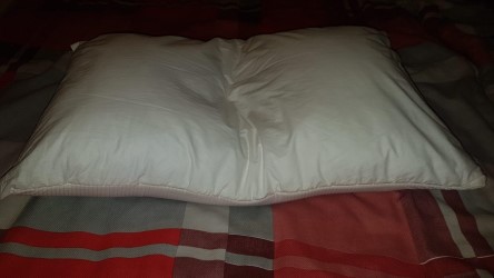 therapure pillow