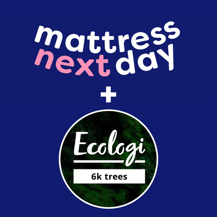 MattressNextDay rebrands and looks to a more environmental future