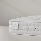Staples and Co Signature I Mattress
