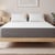 Horizon Adventurer 1000 Pocket Memory Mattress