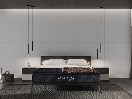 Alpha Kappa Black Pillow Top Mattress