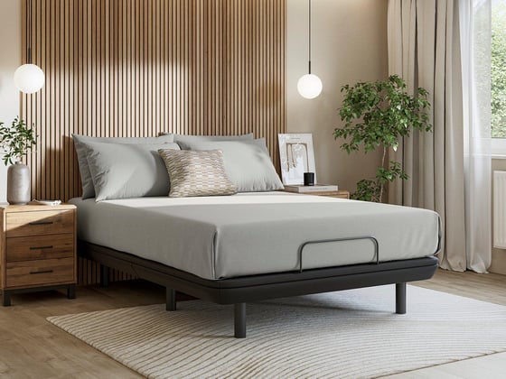 Ergomotion Elite Adjustable Platform Bed Frame