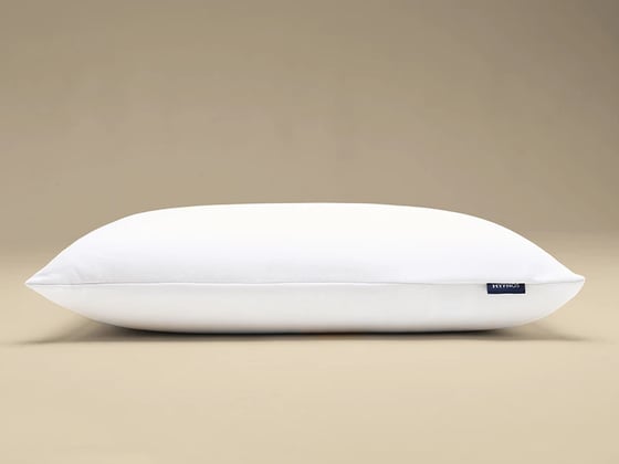 Hypnos Low Profile Latex Pillow