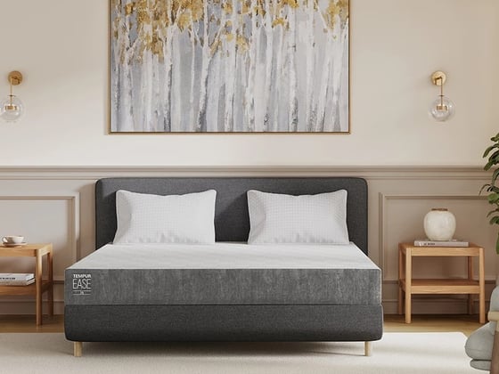 TEMPUR Ease 20 Mattress