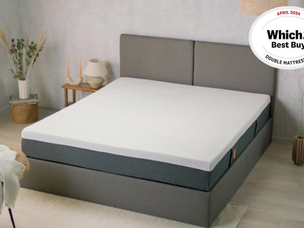 Emma Original Pro Mattress 2025