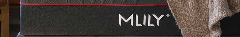 MLILY logo banner 