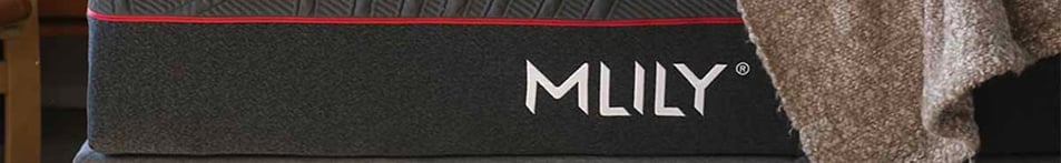 Mlily logo banner 