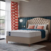 Sealy Duchess Contract Mattress
