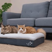 Origin CosyPaws™ Dog Bed & Cat Bed