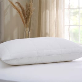 Dreams Memory Cloud Support Pillow
