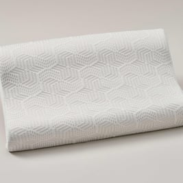 Hyde & Sleep Memory Contour Ice Pillow