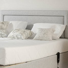 Littleton Strutted Upholstered Headboard