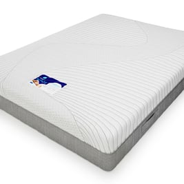 Memory Zone 1000 Pocket Mattress