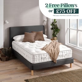 OTTY Natural Evolve Mattress