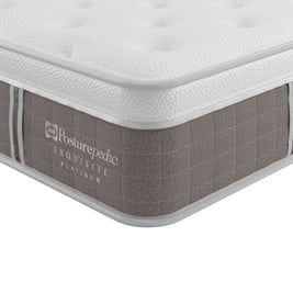 Sealy Exquisite Platinum Renaissance Mattress