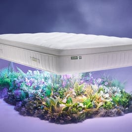 Simba Earth Apex 6700 Cashgora Mattress