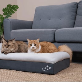 Origin CosyPaws™ Dog Bed & Cat Bed