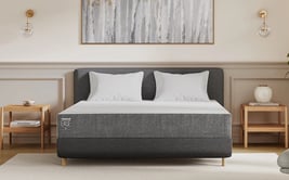 TEMPUR Ease 25 Mattress