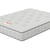 Bodyshape Vitality Tufted Ortho Mattress