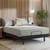 Ergomotion Elite Adjustable Platform Bed Frame