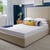Ortho Care Foam Mattress