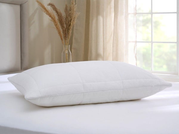 Dreams Memory Cloud Support Pillow