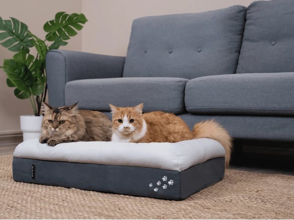 Origin CosyPaws™ Dog Bed & Cat Bed