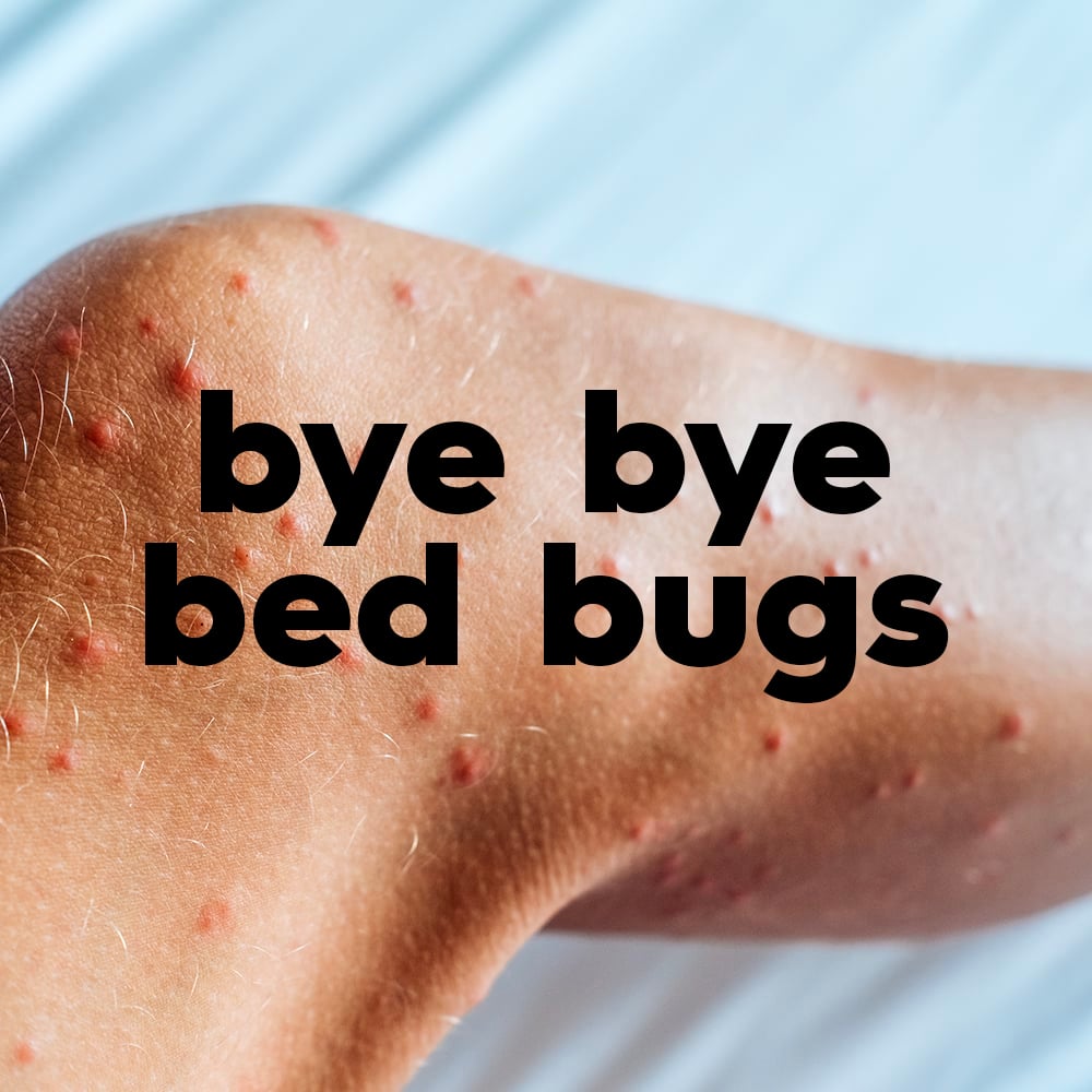 Say Goodbye to Bed Bugs with an Anti-Allergy Mattress!